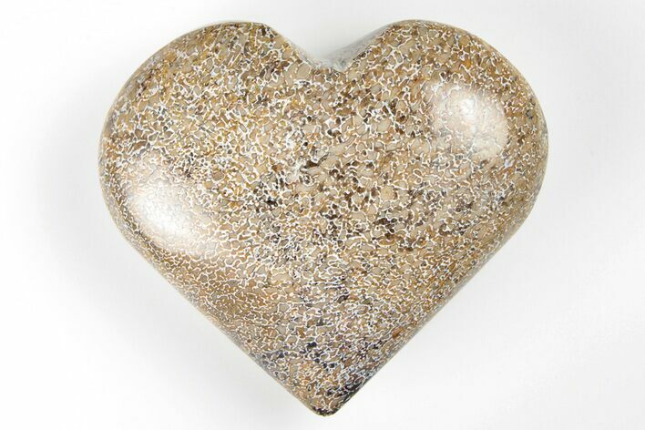 Polished Dinosaur Bone (Gembone) Heart - Morocco #198470